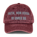 UMES Motto Vintage Cap